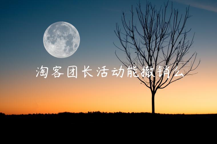 淘客團(tuán)長(zhǎng)活動(dòng)能撤銷么